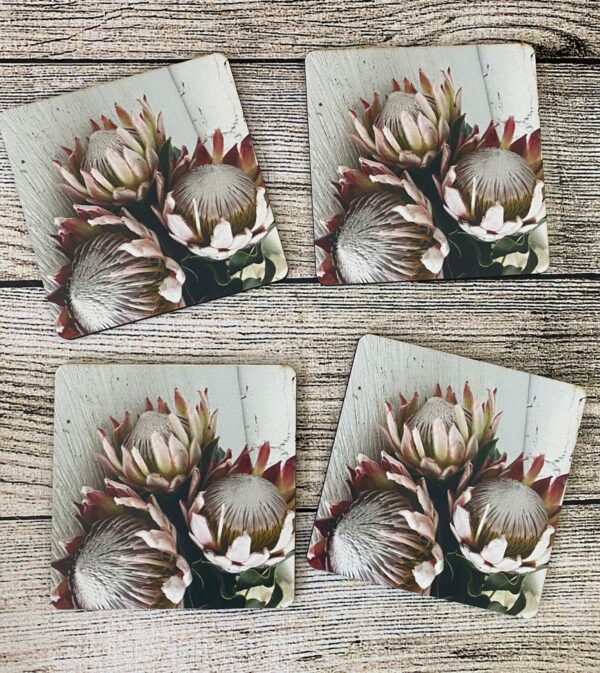 Protea flower grey effect coasters