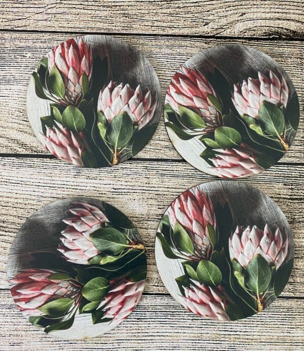 Protea flowers coasters